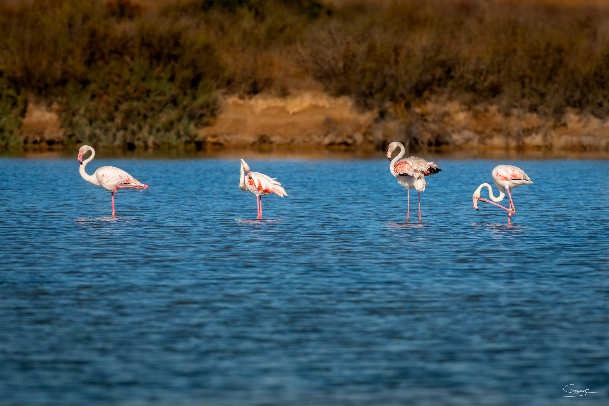 Algarve Fine Art Photography by Craig Rogers