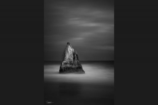 Calm Inside The Storm