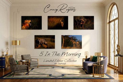 Limited Edition Collection : 5 In The Morning (5 Canvas Prints)