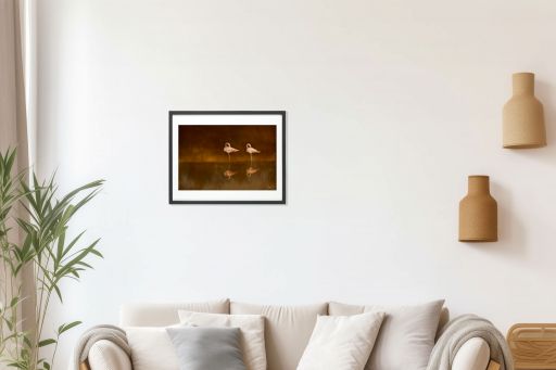 Flamingos In The Mist - A3 Luster Paper - Framed - 520x420 Black (35% Discount, Free Frame)